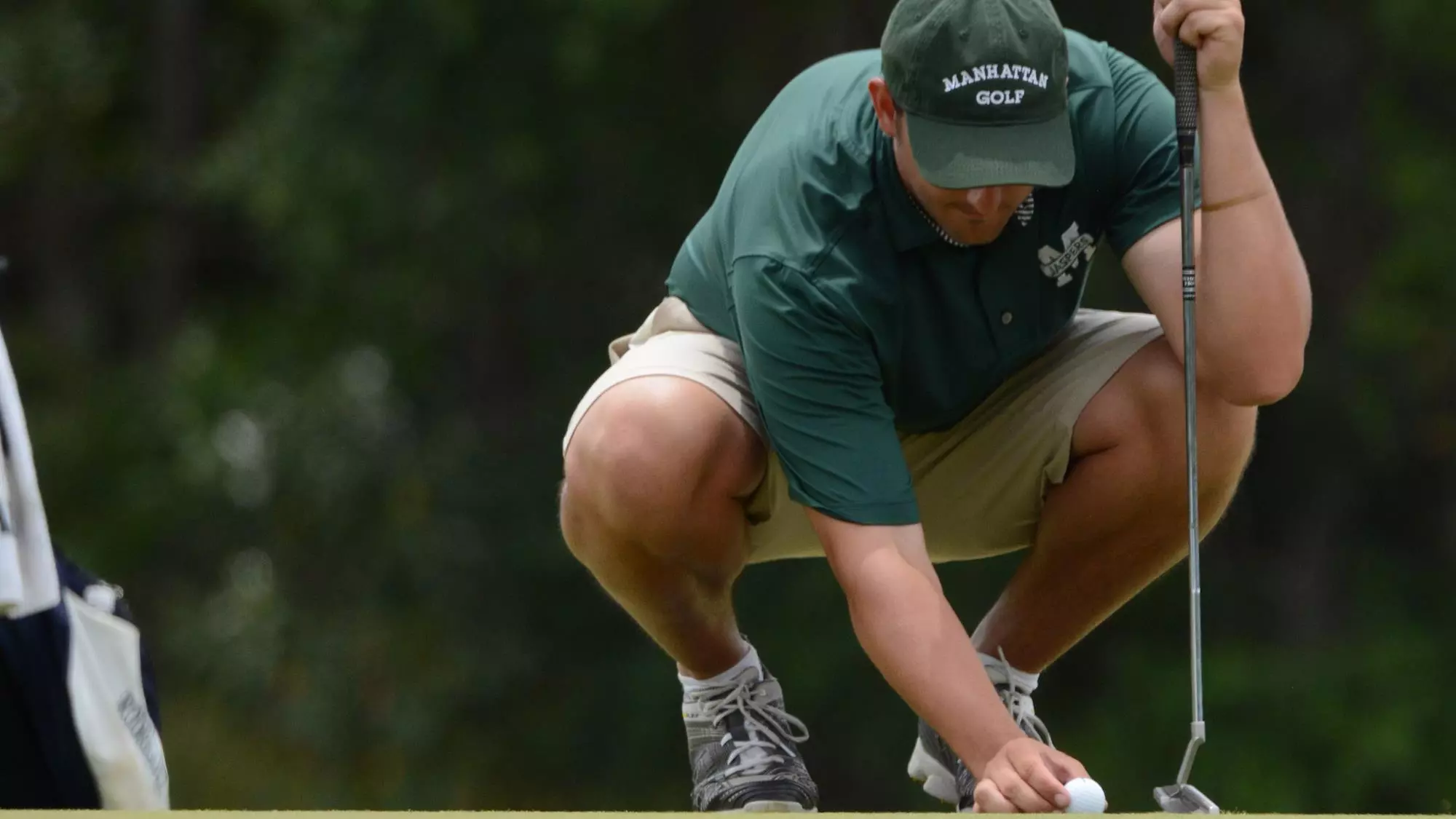 Palmetto Recap