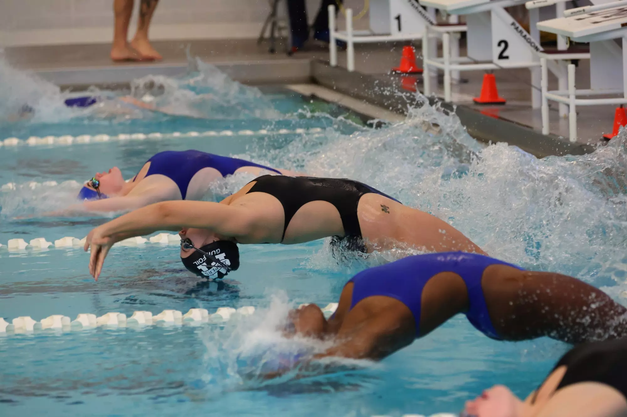 Guilfoil Backstroke