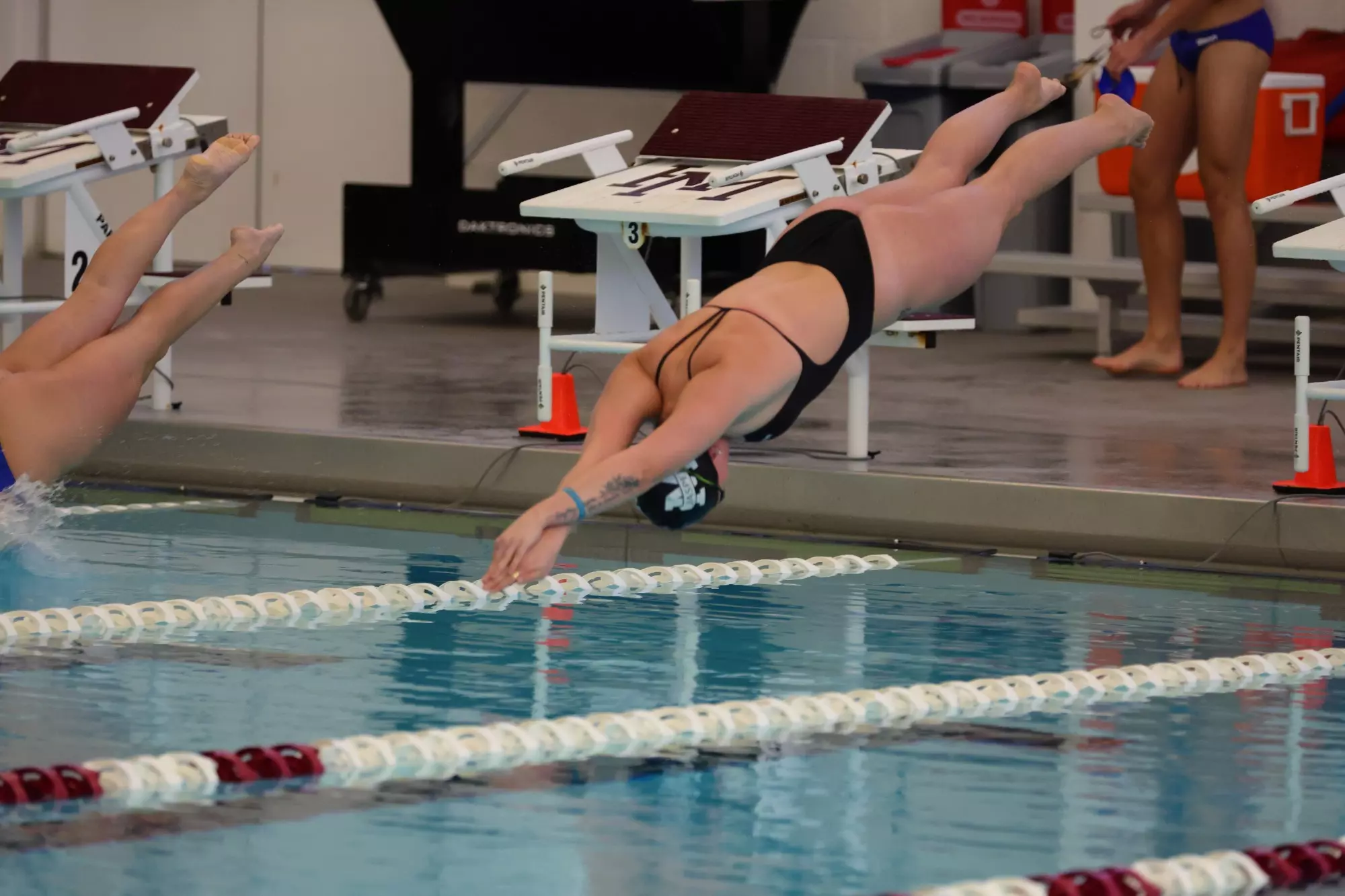 Tuttle Swim