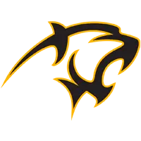 Adelphi University