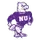 Niagara Logo