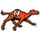 CAM