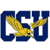 Coppin State Logo