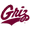 Montana Logo
