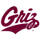 Montana Logo
