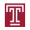 TEM
