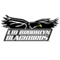 LIU Brooklyn logo
