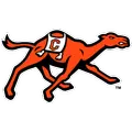 CAMPBELL logo
