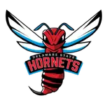 Delaware St. logo