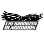 LIU Brooklyn logo