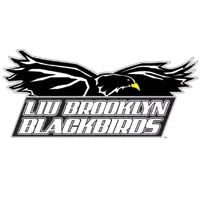 LIU Brooklyn logo