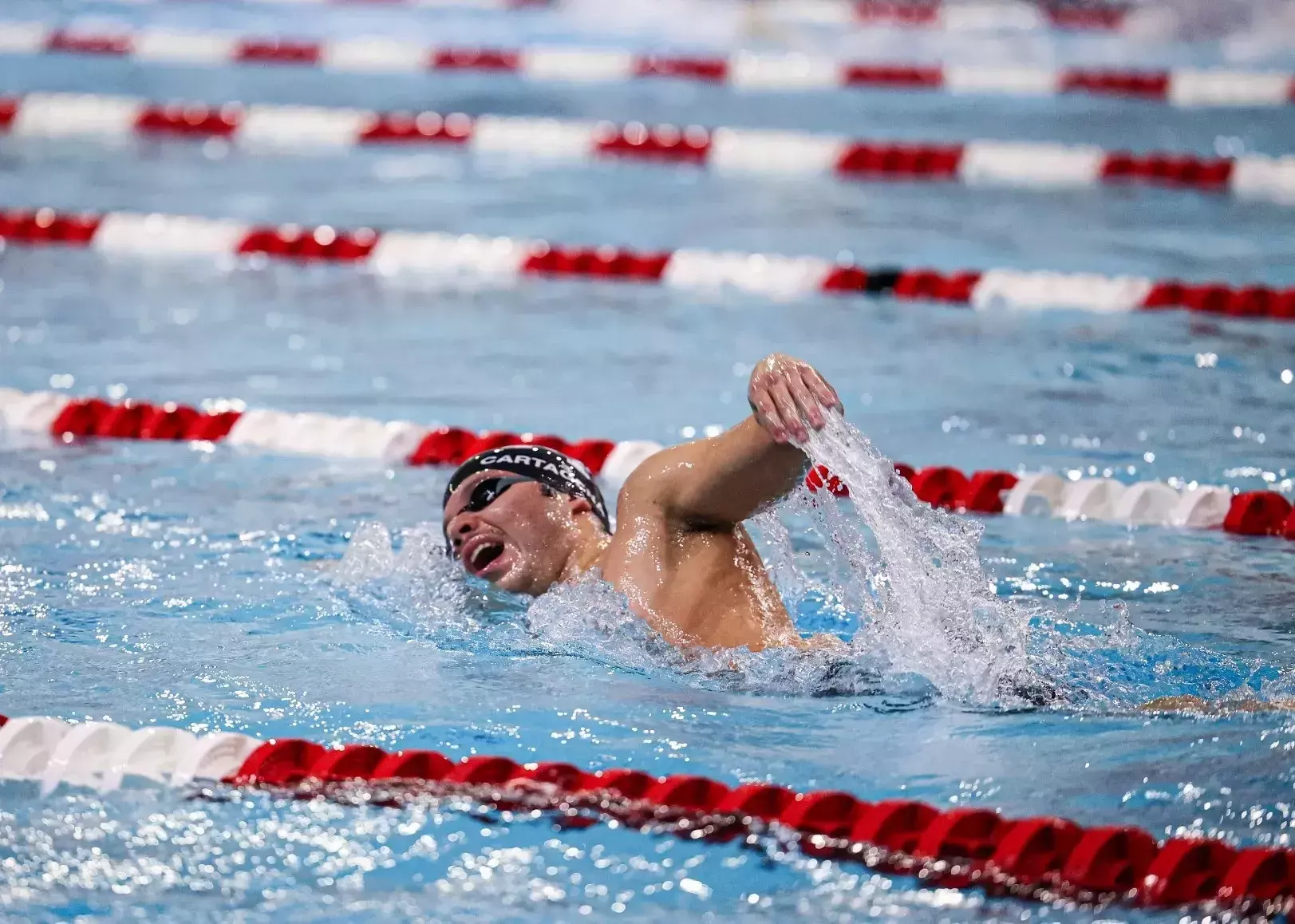 abel swimming